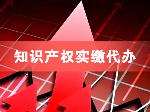 广州知识产权实缴资本代办